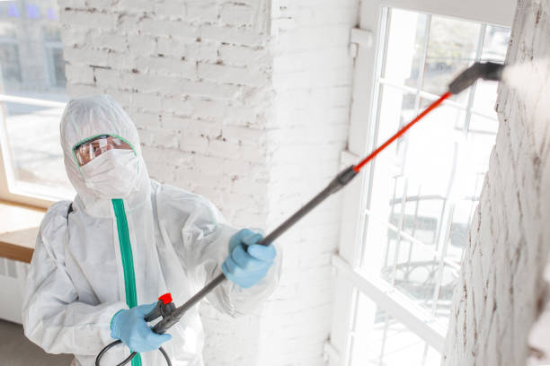 Why You Should Choose Our Mold Remediation Services in Ten Mile Run, NJ